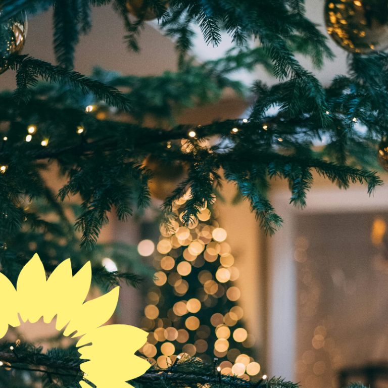 Frohe Weihnachten und einen guten Rutsch ins neue Jahr!